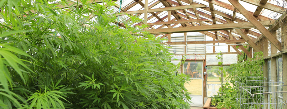 Security Solutions for Apartments in Danville,  KY